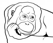 Orangutan s head dessin à colorier